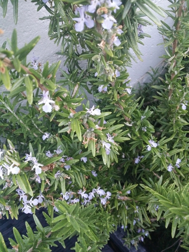 2018-03/1520430605_20180307-192856