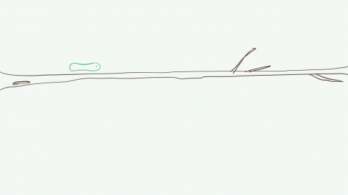 2018-07/1532323483_caterpillar