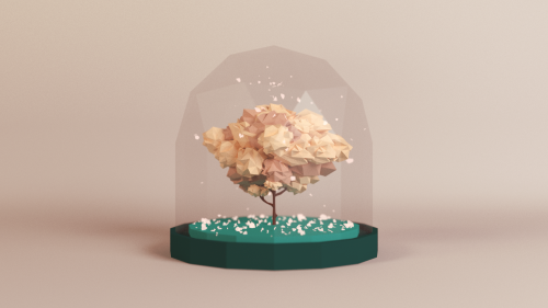 2018-10/cherryblossom-00344