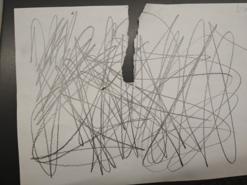 2019-03/1551857428_53110787-483270272209257-2193649048873861120-n