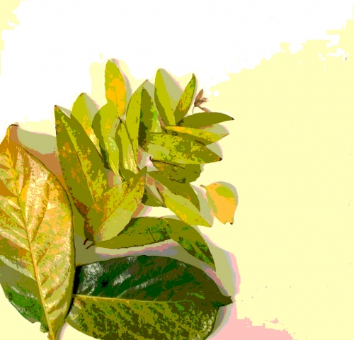 2019-03/image-style-3