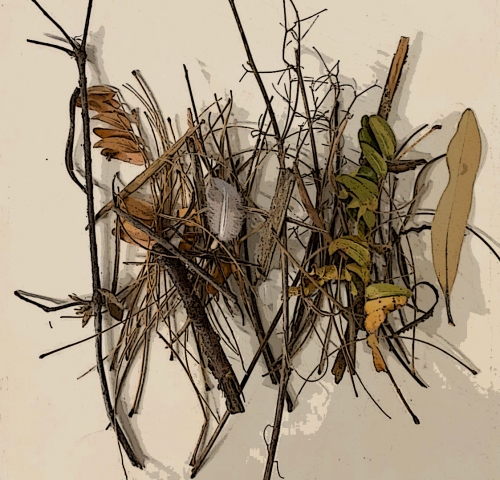 2019-03/image-style-4