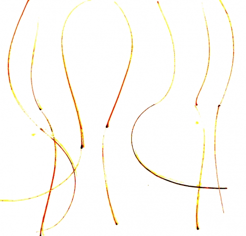 2019-03/image-style-5