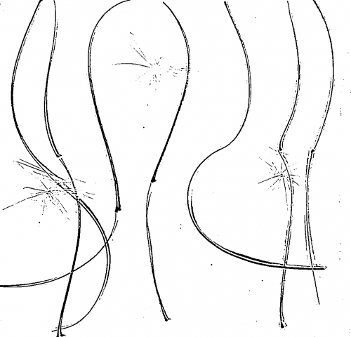 2019-03/image-style-6