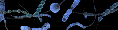 2019-08/1564924944_s