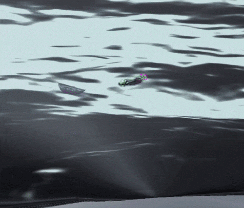 2019-08/ezgif-1-3e405fc125a9