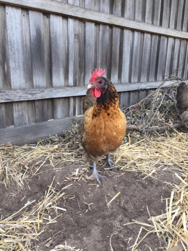 2019-10/photo-from-raycha3