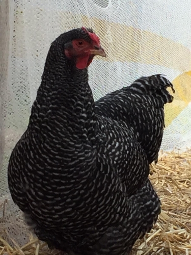 2019-10/photo-from-raycha5