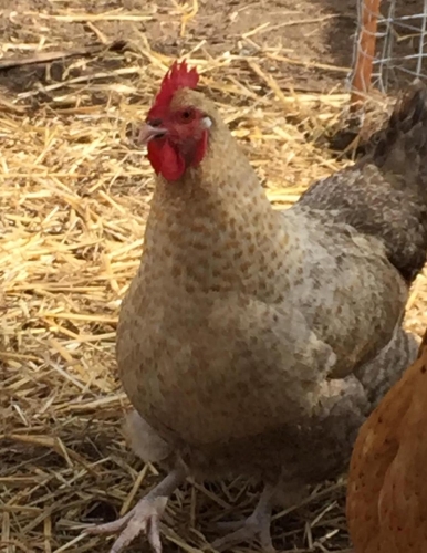 2019-10/photo-from-raycha9