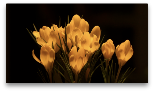 2019-10/screen-shot-2019-10-03-at-2.44.06-pm