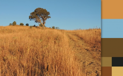 2020-06/brunswick-landscape-palettes-05