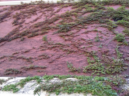 2020-06/img-20200312-162140