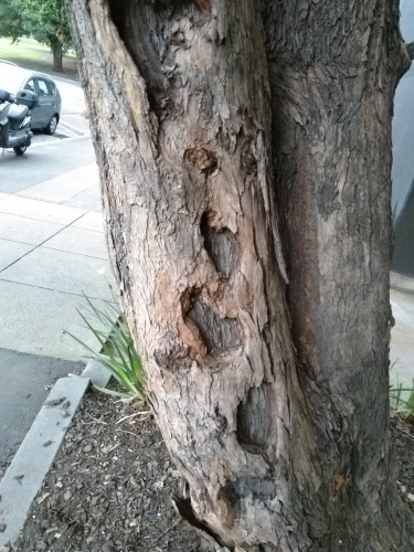 2020-06/img-20200319-184029