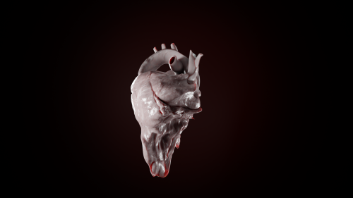 2020-08/negative0245