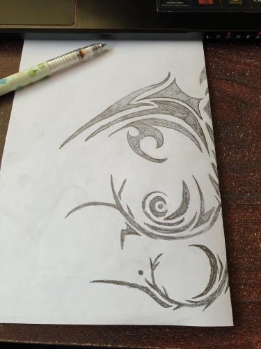 2021-03/1615433985_dragon-left