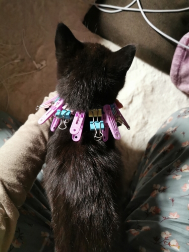 2021-03/1616592830_img-20210323-065954