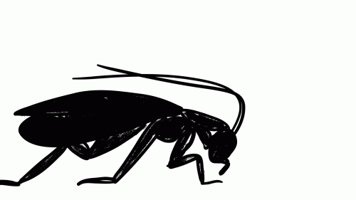 2021-08/31913bdf-5952-4890-a580-d5b6e2754314