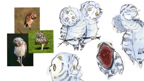 2022-06/1654723832_7